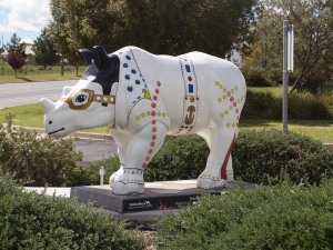 Between Sydney and Dubbo, there is a trail of brightly decorated rhinos - this is to bring the plight of the rhino into the public spotlight as they are critically endangered. This is the Elvis rhino at Parkes - Parkes is home to the annual Parkes Elvis Festival, the biggest festival dedicated to the life of Elvis Aaron Presley outside the United States